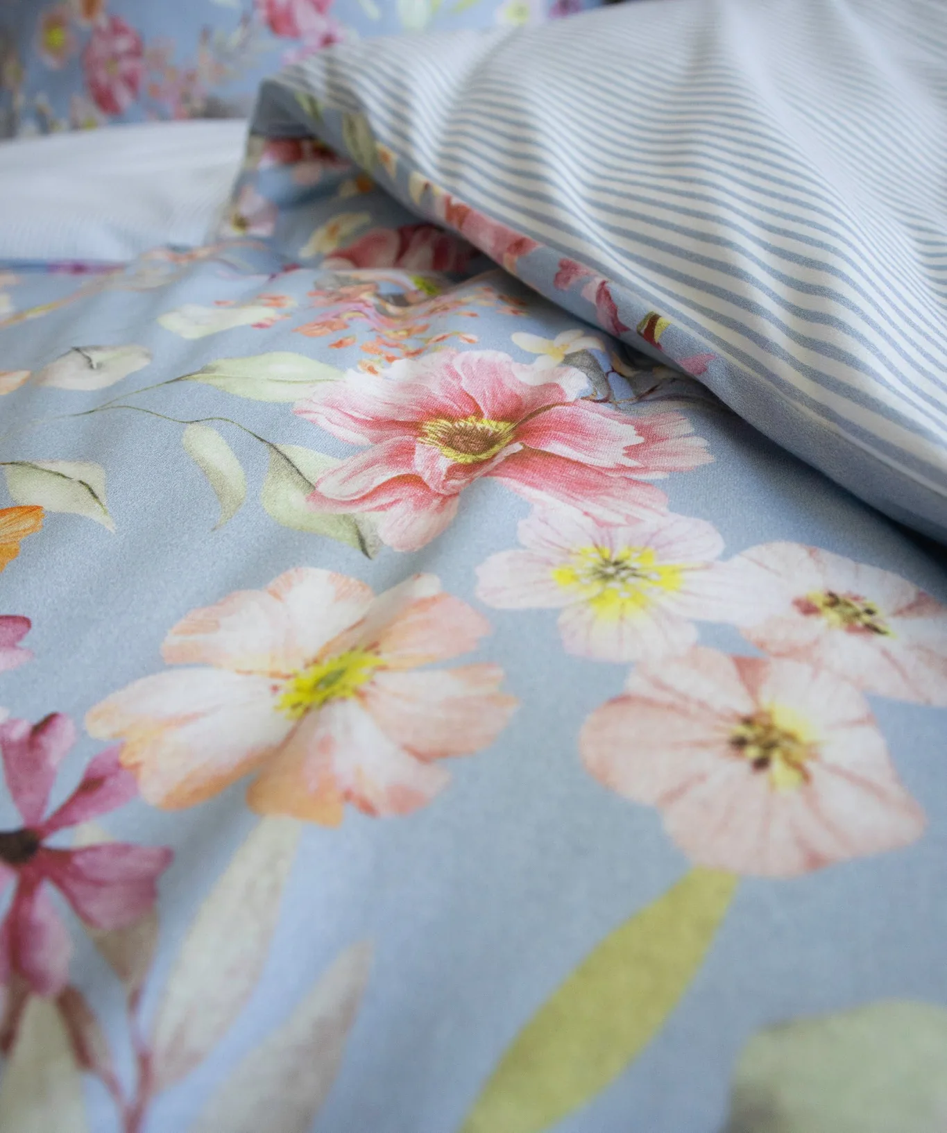 Diamond Dove – Ambiente 3