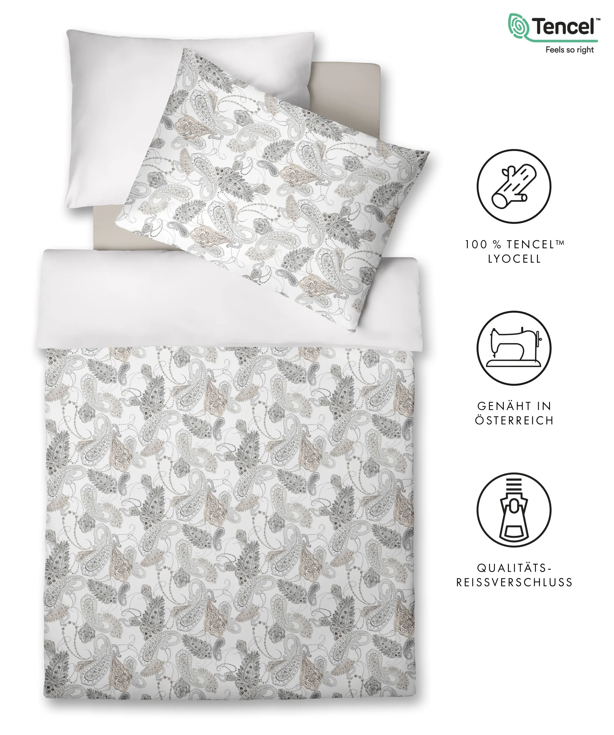 Luxury Camel – Freisteller